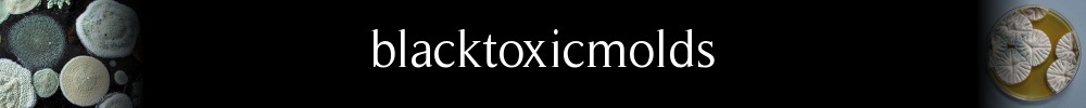 Black Toxic Molds